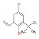 5-溴-3-叔丁基-2-羟基苯甲醛-CAS:153759-58-1