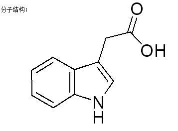 3-吲哚乙酸（IAA）-CAS:87-51-4