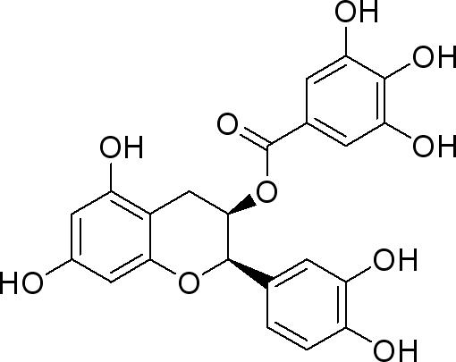 表儿茶素没食子酸酯-CAS:1257-08-5