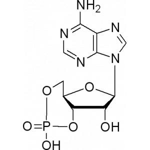 腺苷环磷酸酯-CAS:60-92-4