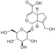 京尼平苷酸-CAS:27741-01-1
