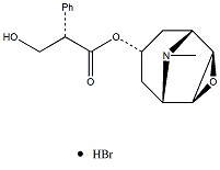 氢溴酸东莨菪碱-CAS:114-49-8