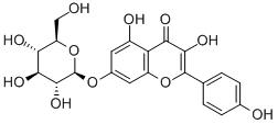 山奈酚-7-O-葡萄糖苷-CAS:16290-07-6