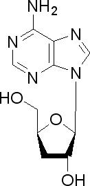 虫草素-CAS:73-03-0