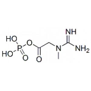 磷酸肌酸-CAS:67-07-2
