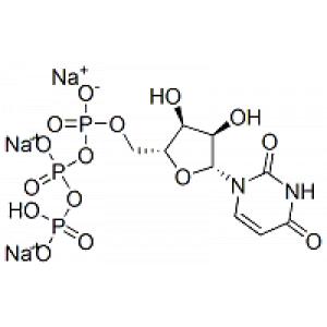 尿苷-5-三磷酸三钠盐-CAS:19817-92-6