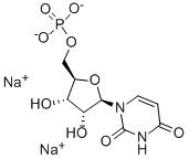 5'-尿苷酸二钠(UMP)-CAS:3387-36-8