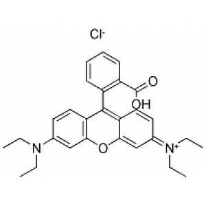 罗丹明B-CAS:81-88-9