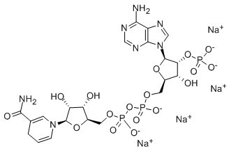 还原辅酶Ⅱ四钠盐-CAS:2646-71-1
