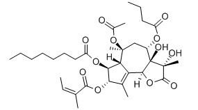 毒胡萝卜素-CAS:67526-95-8