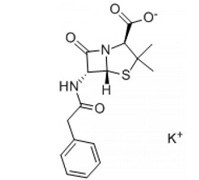 青霉素钾-CAS:113-98-4