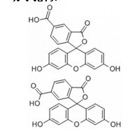 5(6)-羧基荧光素-CAS:72088-94-9