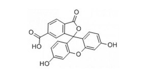 6-羧基荧光素-CAS:3301-79-9