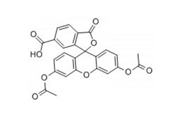 6-羧基荧光素二乙酸酯-CAS:3348-03-6