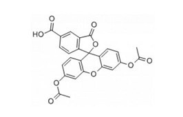 5-羧基荧光素二乙酸酯-CAS:79955-27-4