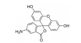 5-氨基荧光素-CAS:3326-34-9