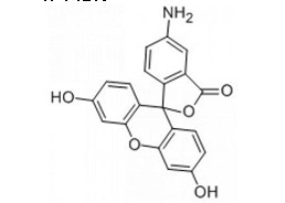 5(6)-氨基荧光素-CAS:27599-63-9