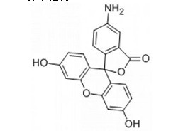 5(6)-氨基荧光素-CAS:27599-63-9
