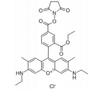 6G琥珀酰亚胺酯-CAS:209112-21-0