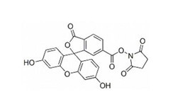 6-羧基荧光素琥珀酰亚胺醚-CAS:92557-81-8