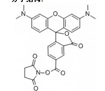 5(6)-羧基四甲基罗丹明琥珀酰亚胺酯-CAS:150408-83-6