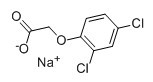 2,4-二氯苯氧乙酸钠-CAS:2702-72-9