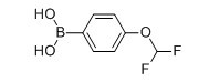 对二氟甲氧基苯硼酸-CAS:688810-12-0
