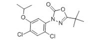 恶草酮-CAS:19666-30-9