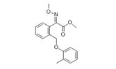 醚菌酯-CAS:143390-89-0