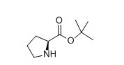 H-PRO-OTBU-CAS:2812-46-6