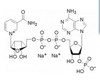 氧化型辅酶II二钠-CAS:24292-60-2