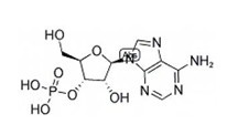 腺苷-3'-磷酸-CAS:84-21-9