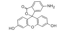 6-氨基荧光素-CAS:51649-83-3