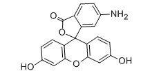 6-氨基荧光素-CAS:51649-83-3