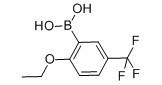 2-乙氧基-5-三氟甲基苯硼酸-CAS:850593-10-1