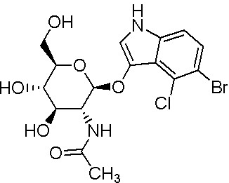 5-溴-4-氯-3-吲哚-N-乙酰-β-D-氨基葡萄糖苷-CAS:5609-91-6