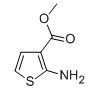2-氨基噻吩-3-羧酸甲酯-CAS:4651-81-4