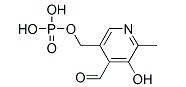 磷酸吡哆醛-CAS:54-47-7