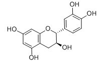 (+)-儿茶素-CAS:154-23-4