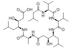 抑肽素-CAS:26305-03-3