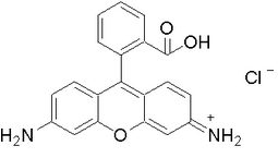 氯化罗丹明110-CAS:13558-31-1