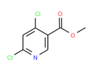 4,6-二氯烟酸甲酯-CAS:65973-52-6