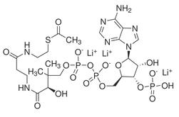 乙酰辅酶A三锂盐-CAS:32140-51-5