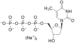 2'-脱氧胸苷-5'-三磷酸三钠，二水-CAS:18423-43-3