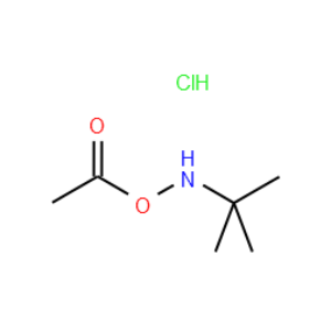 O-乙酰基-N-叔丁基羟胺盐酸盐-CAS:851074-40-3