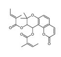 白花前胡丁素-CAS:73069-28-0