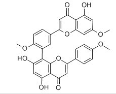 金松双黄酮-CAS:521-34-6
