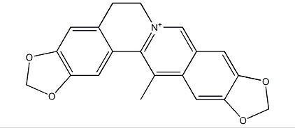甲基黄连碱-CAS:38763-29-0