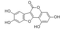 去甲基蟛蜞内酯-CAS:6468-55-9