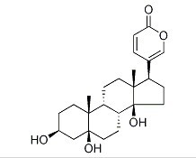 远华蟾蜍精-CAS:472-26-4